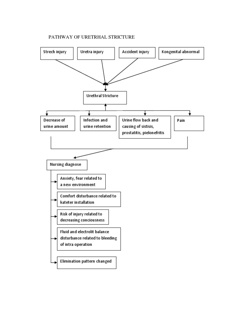 Pathway - Urethral Stricture | PDF