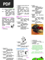 Leaflet Kontrasepsi