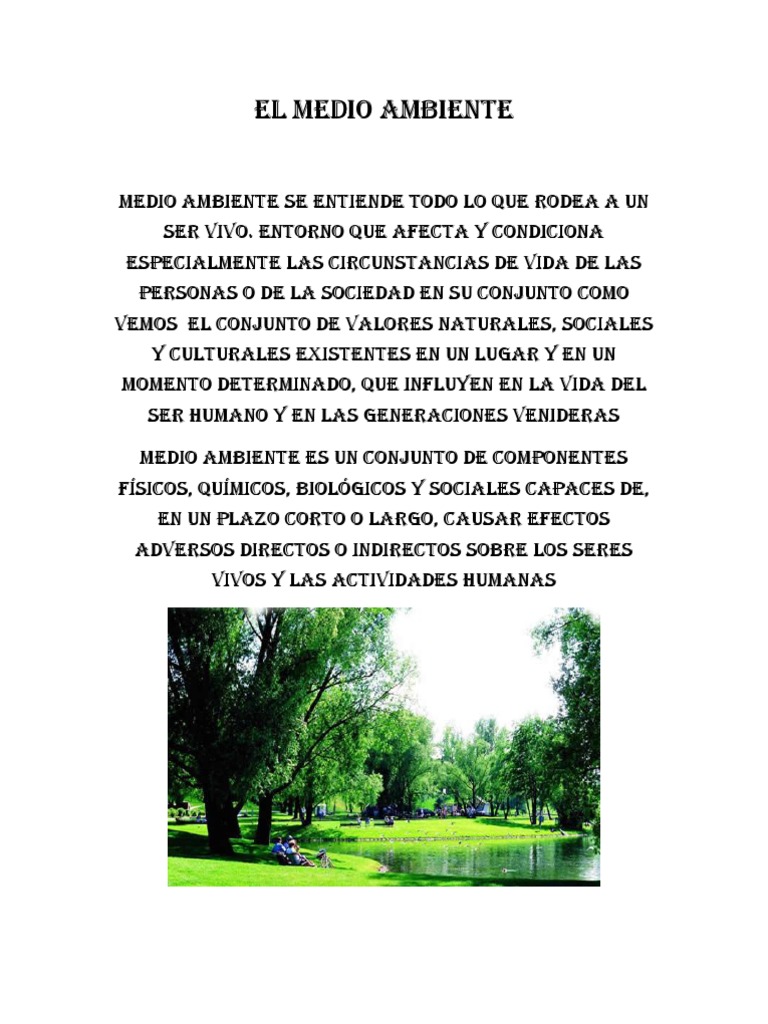 El Medio Ambiente - Anyi PAOLA | PDF | Ciencias sociales | Ciencia y ...
