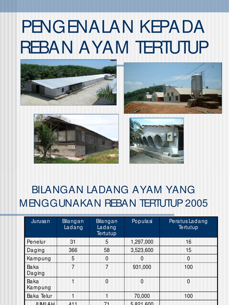 Pengenalan Reban Ayam Tertutup | PDF