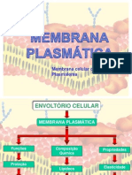 Membrana Plasmatica Slides
