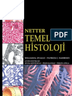 Netter Histo Sample