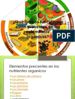 compuestos organicos