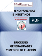 Duodeno Pancreas e Intestino