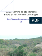 Ganga de Terreno En San Jeronimo Comayagua.pptx