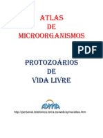 Atlas de Microorganismo3
