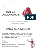 Sistema Cardiovascular AULA 1 2012