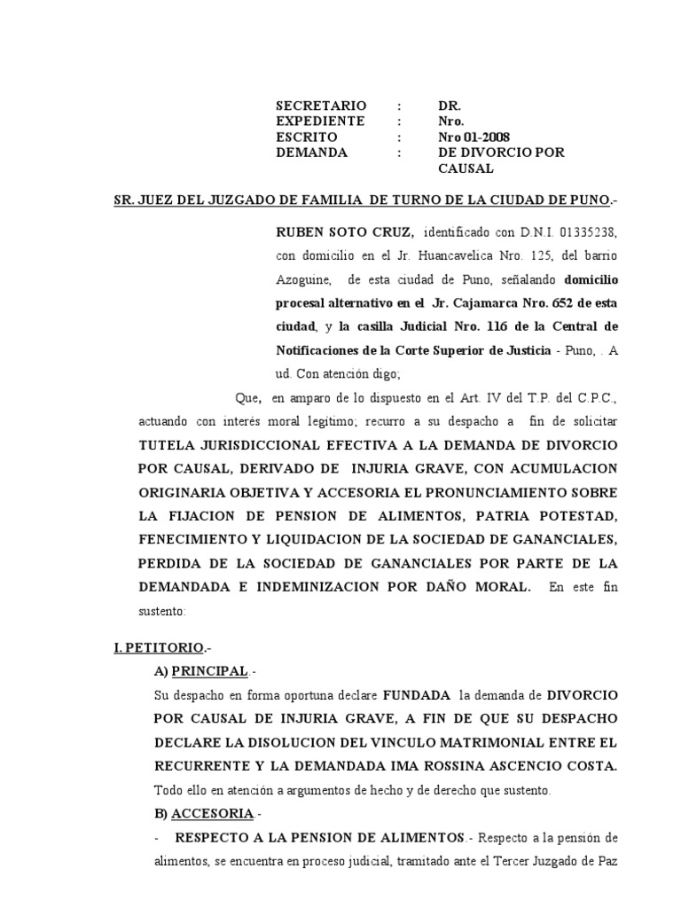 Modelo De Demanda De Divorcio Colombia