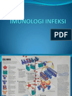 Macrophage and Antigen Presentation