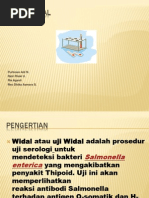 Download Tes Widal New by Bowo Adi SN139875873 doc pdf