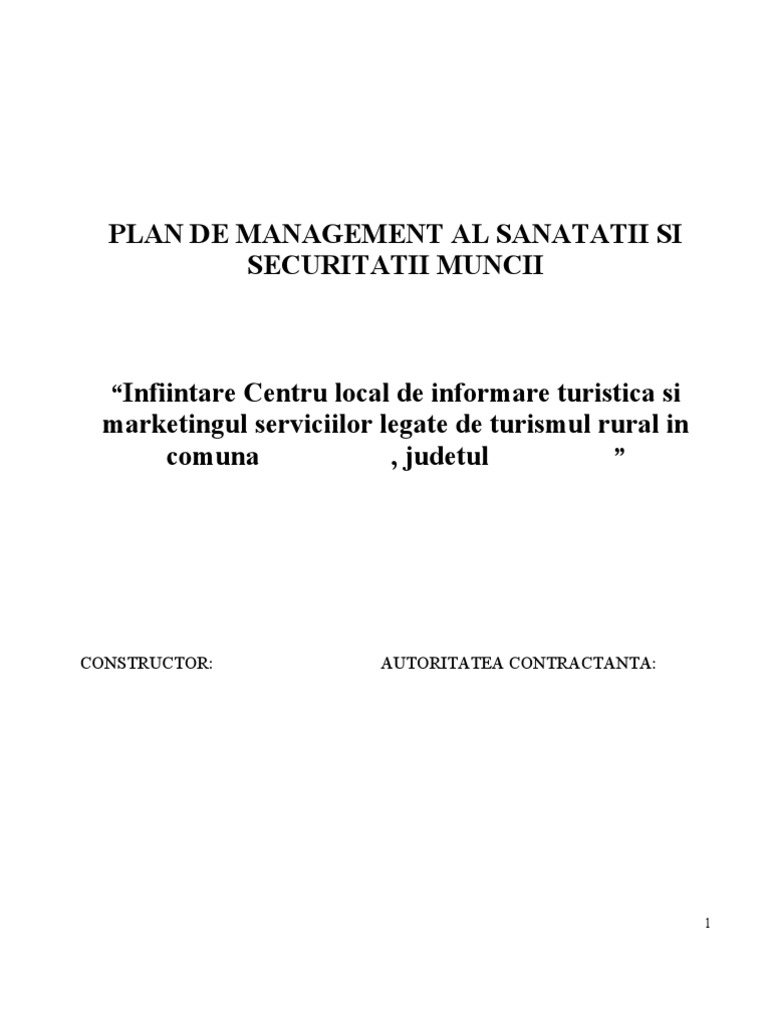 Plan SSM | PDF