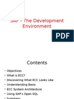 01 - SAP - The Development Environment