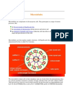 Sliding Movement Mikrotubulus