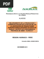 Mejoramiento de La Produccion y Comerciliazion de Cuy