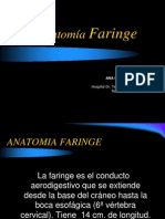 Anatomia Faringe