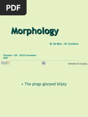 Morphology 02