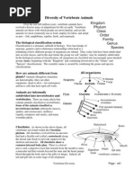 Download Vertebrate Diversity by Kacang Peas SN139980293 doc pdf