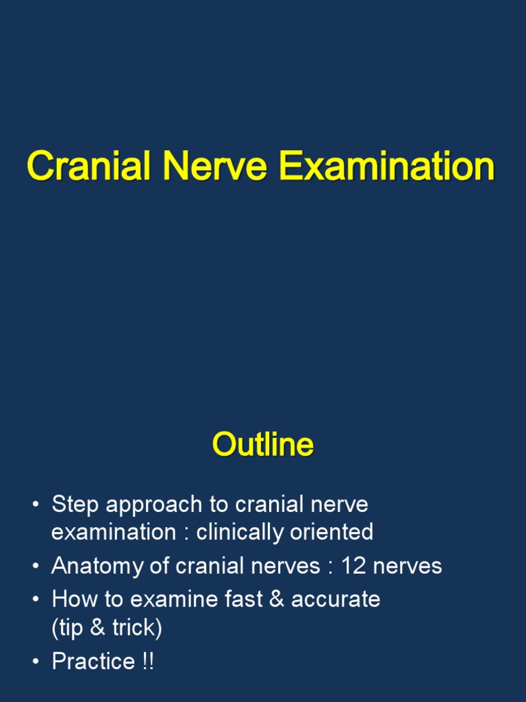 Comprehensive Guide to Cranial Nerve Exam | PDF | Human Head And Neck ...