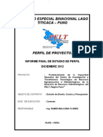 Informe Final Diseno Costos y Presupuestos Pip