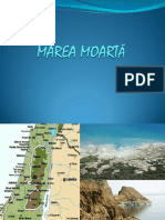 Marea Moartă