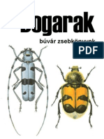 Búvár Zsebkönyvek - Bogarak