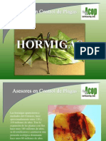 Hormigas[1]