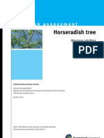 IPA Horseradish Tree Risk Assessment