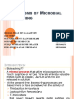 Mechanisms of Microbial Bioleaching