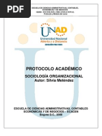 Protocolo Modulo Sociologia Organizacional