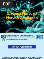 Sistema Nervos CRANIANOS Esse