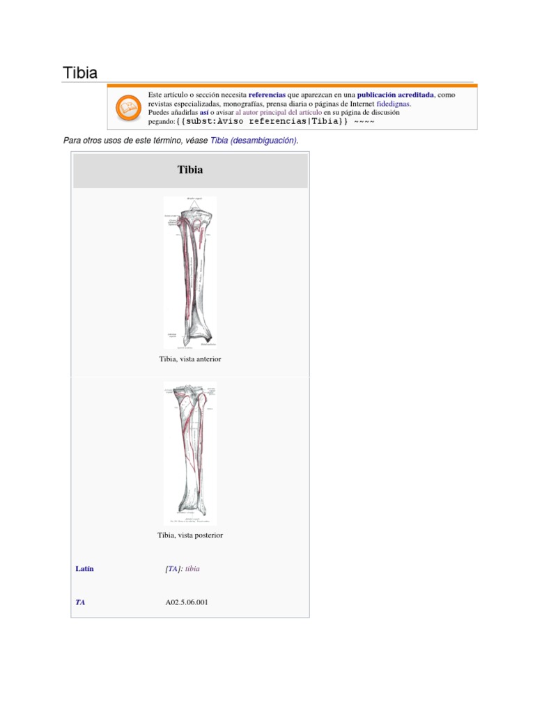 Tibia Completa | PDF
