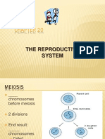 A&P: Principles of Reproduction and Human Development PowerPoint (Nursing)