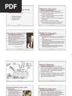 Download ENDAPANGREISENDANPEGMATITIKpdfbyRidhoDestawanSN140143037 doc pdf