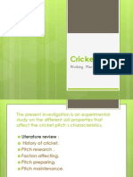 BSC Thesis On Cricket Pitch - Work Plan.