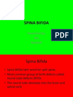 Spina Bifida: Presented By: Alia Narjihah