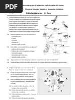 CN8 Teste Fluxos Sucess Ecologicas 2010