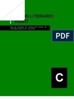 guionLiterarioVideo PDF