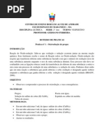 Roteiro de pratica - 2 ano.docx