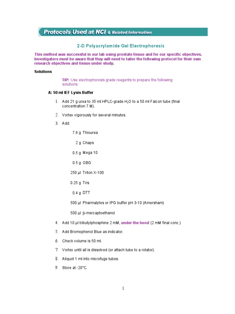 2D Polyacrylamide Gel Protocol Guide | PDF | Gel Electrophoresis ...