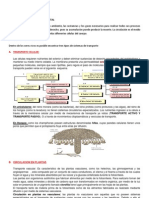 1 +Guia+Septimo+Circulacion+en+Plantas