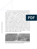 Smear Layer Introducao