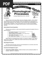 23 Phonological Processes