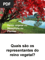 4034819 Biologia PPT Reino Vegetal