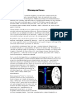 Bio Magnetism o