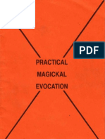 McGrath - Practical Magical Evocation