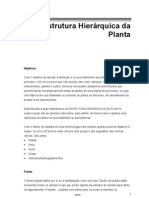 05 Estrutura Hierárquica da Planta