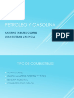 Petroleo y Gasolina