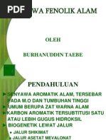 Download Senyawa Fenolik Alam 1 by Wina Laili M SN140305378 doc pdf