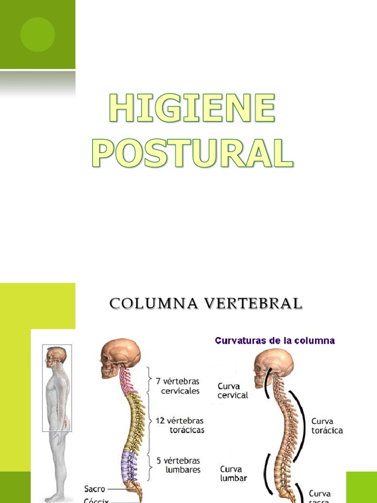 Funciones y cuidados de la columna vertebral | PDF | Dolor lumbar ...