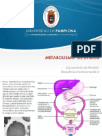 6.1. Metabolismo de Lipidos